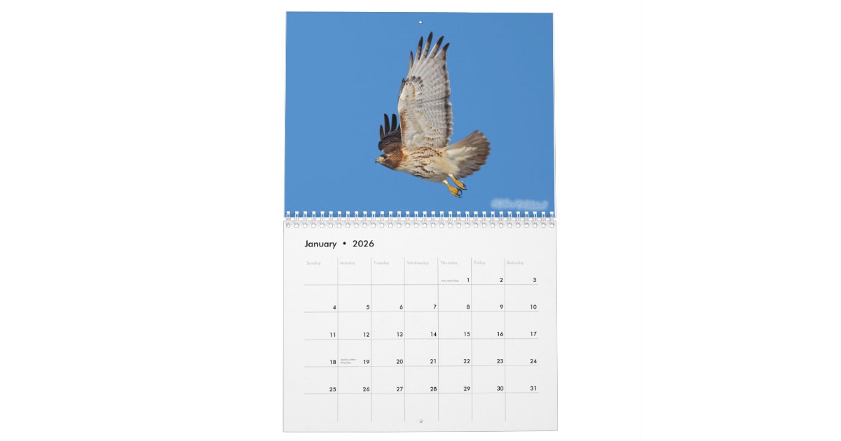 2010 Raptor Calendar | Zazzle