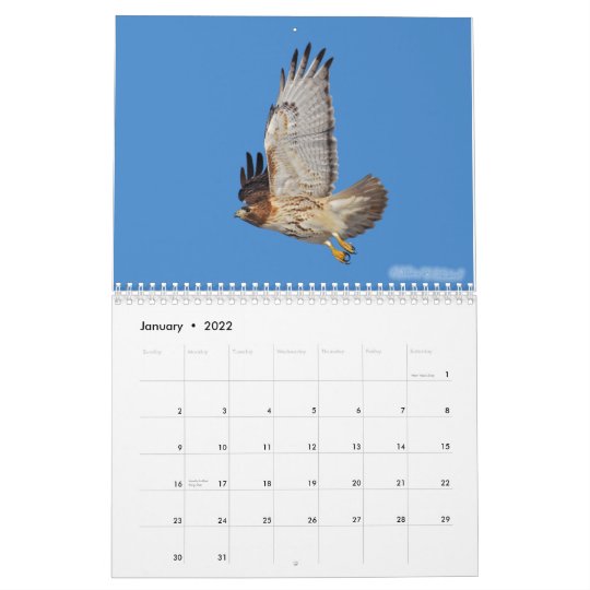 2010 Raptor Calendar | Zazzle.com