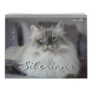 2010 Siberians Cats & Kittens Calendar 2