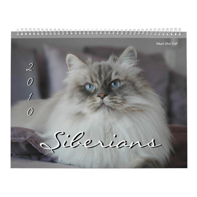 2010 Siberians Cats & Kittens Calendar 3 (Cover)