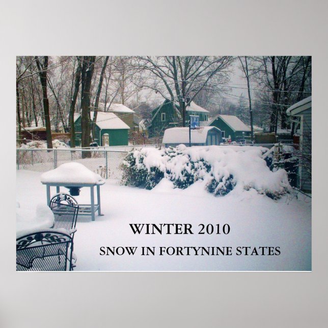 2010, SNOW IN FORTYNINE STATES poster (Front)
