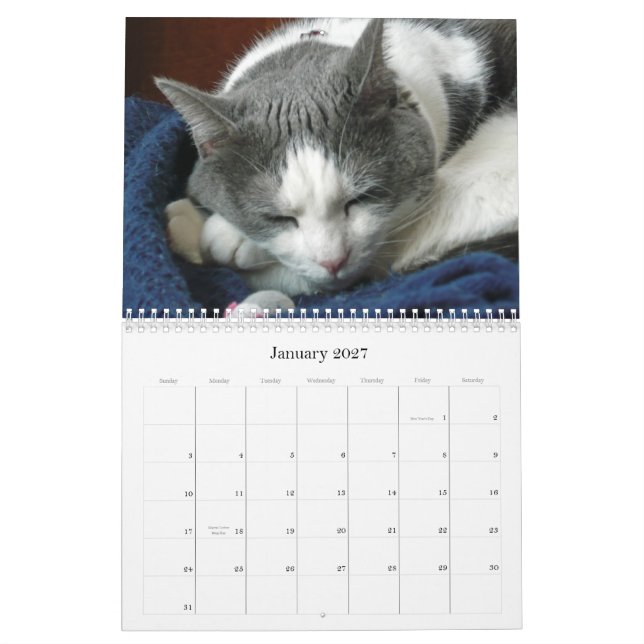 2010 with Guru Belly Calendar (Jan 2027)