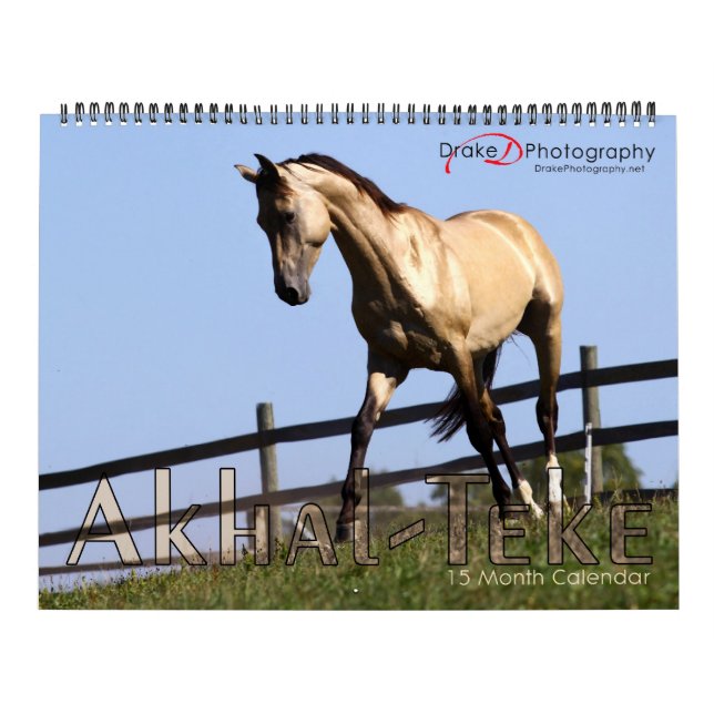 2011 Akhal-Teke Horses Calendar (Cover)