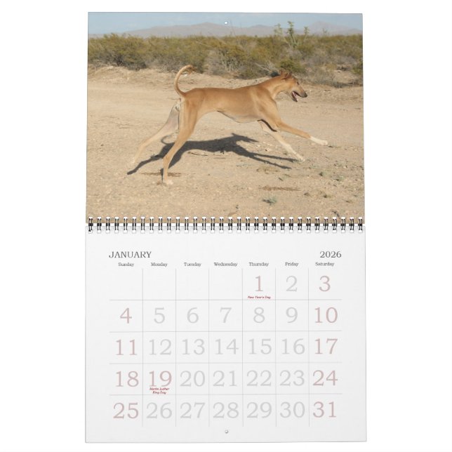 2011 Azawakh Calendar (Jan 2026)