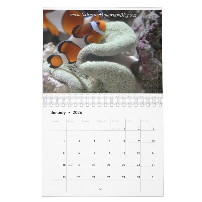 2011 Calendar (Jan 2026)