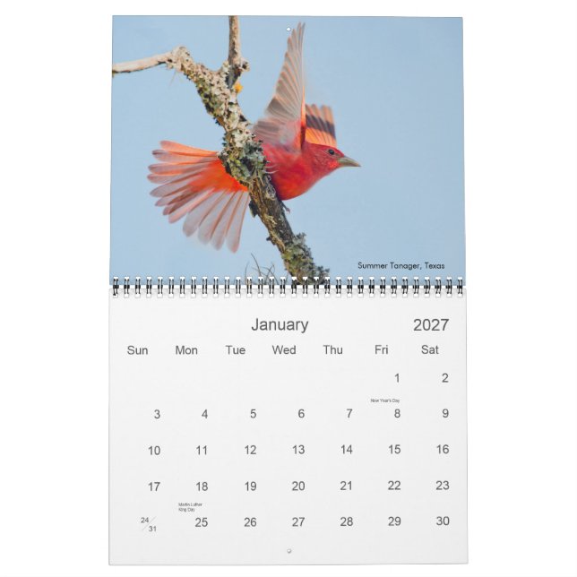 2011 Cardinal Photo Calendar (Jan 2027)