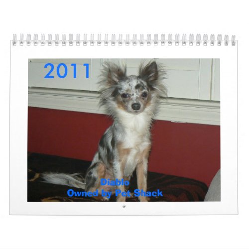2011 Chihuahua Calander Calendar