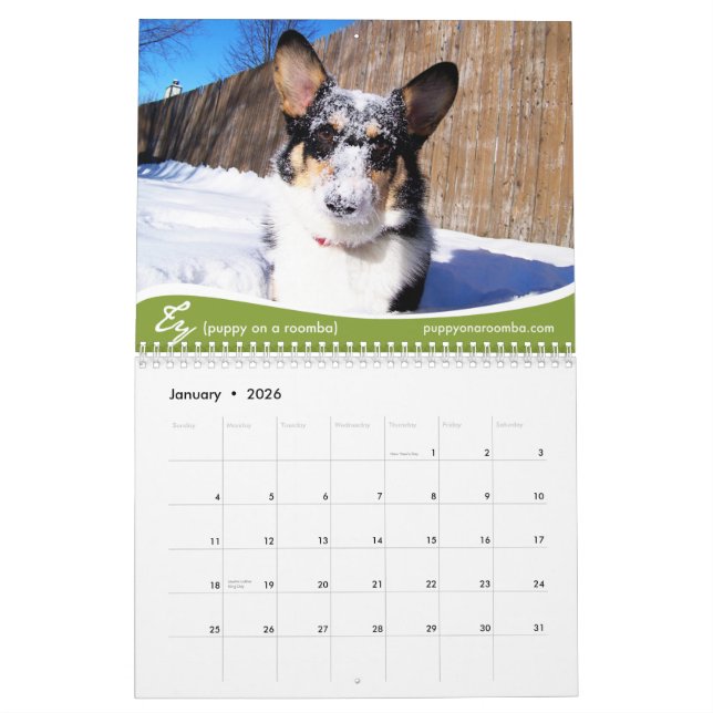 2011 Corgis (with blogs) Wall Calendar (Jan 2026)