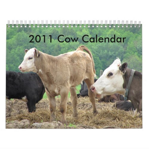 2011 Cow Calendar