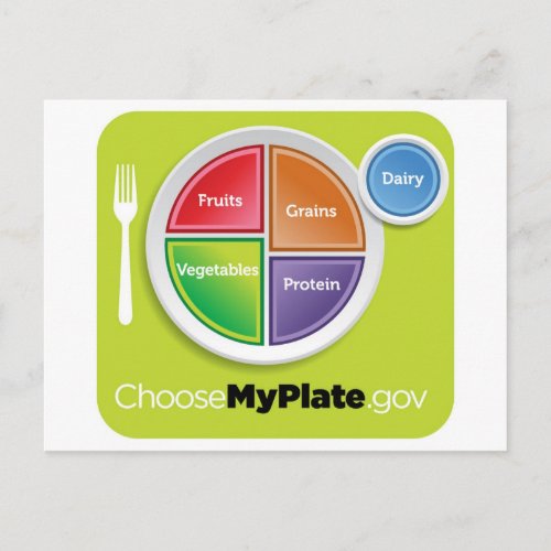 2011 Food Pyramid Choose My Plate postcard