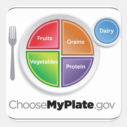 2011 Food Pyramid Choose My Plate sticker