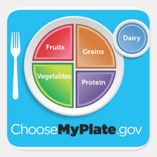 2011 Food Pyramid Choose My Plate sticker