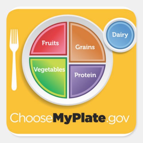 2011 Food Pyramid Choose My Plate sticker