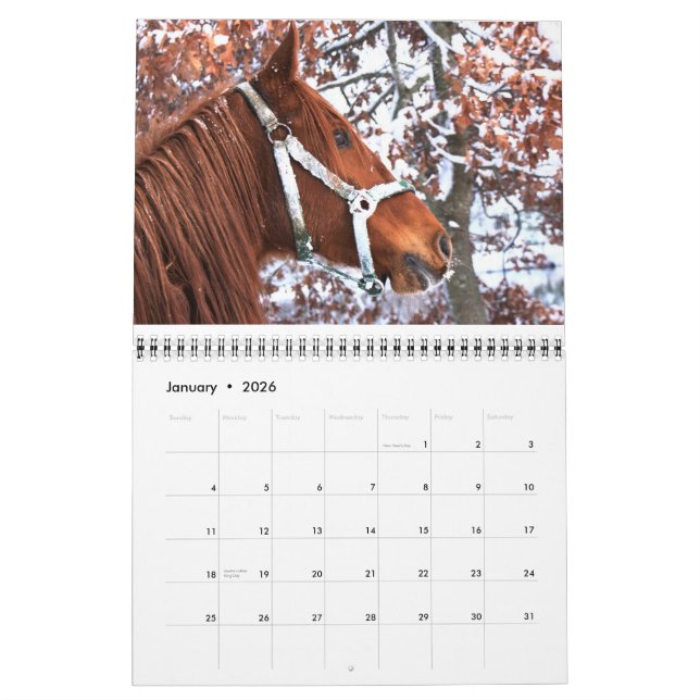 2011 Horse Calender Calendar (Jan 2026)