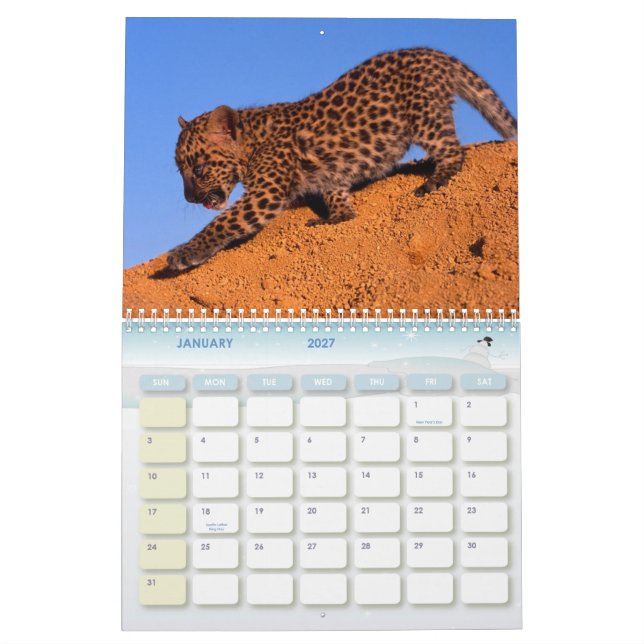 2011 Leopards Calendar (Jan 2027)