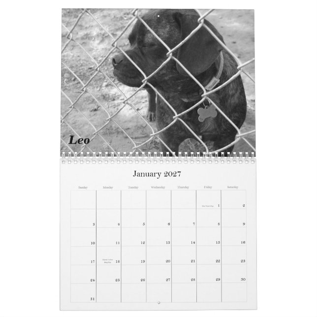 2011 Pet Calendar: Cats & Dogs Calendar (Jan 2027)