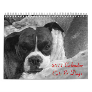 2011 Pet Calendar: Cats & Dogs Calendar