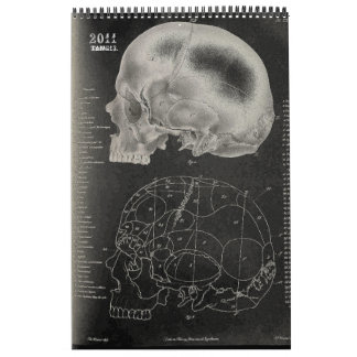 2011 SKULL/SKELETON/ANATOMY -Tang13. Calendar