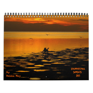2011 steinhatchee sunsets calendar