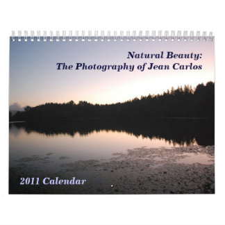 2011 Wall Calendar