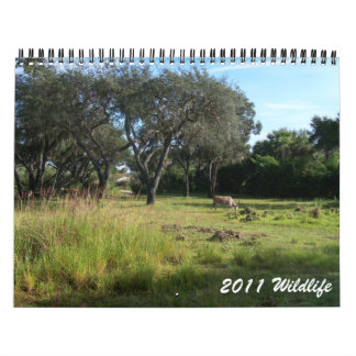 2011 Wildlife Calendar