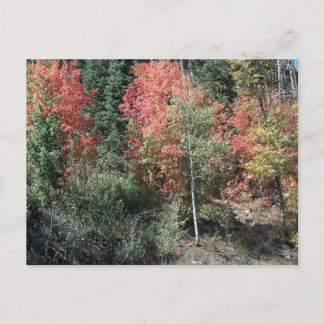 2012 autumn leafs post card