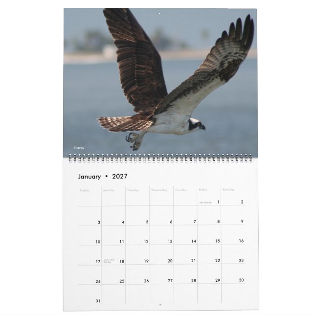 2012 Bird Calendar (Jan 2027)