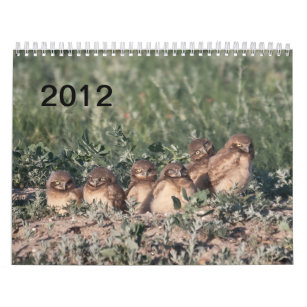 2012 Burrowing Owls Calendar