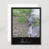 2012 calendar front cover (Front/Back)