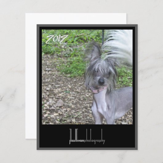 2012 calendar front cover (Front/Back)