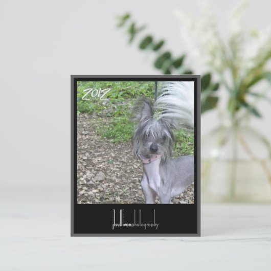 2012 calendar front cover (Standing Front)