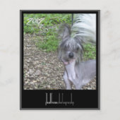 2012 calendar front cover (Front)