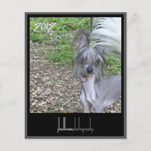 2012 calendar front cover (Front)