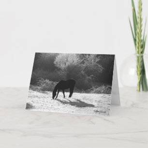 2012 Christmas Cards