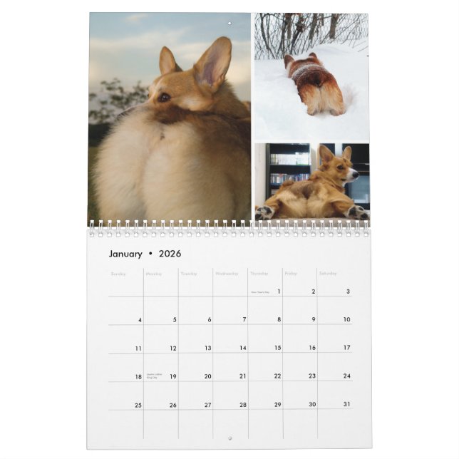 2012 Corgi Butts & Friends Wall Calendar (Jan 2026)
