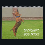 2012 Dachshund Dog Tricks Calendar<br><div class="desc">2012 Calendar of real and not so real dachshund dog tricks!</div>