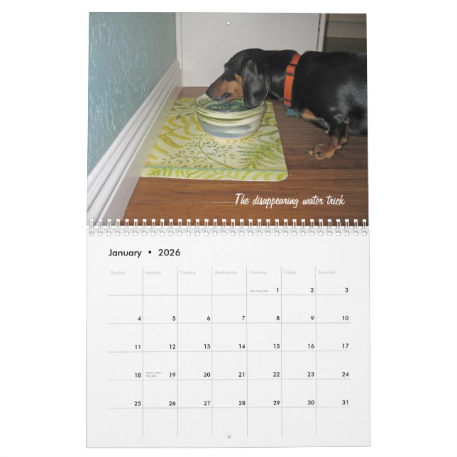 2012 Dachshund Dog Tricks Calendar (Jan 2026)