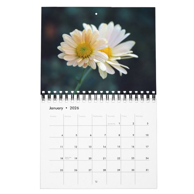 2012 Daisies Wall Calendar (Jan 2026)