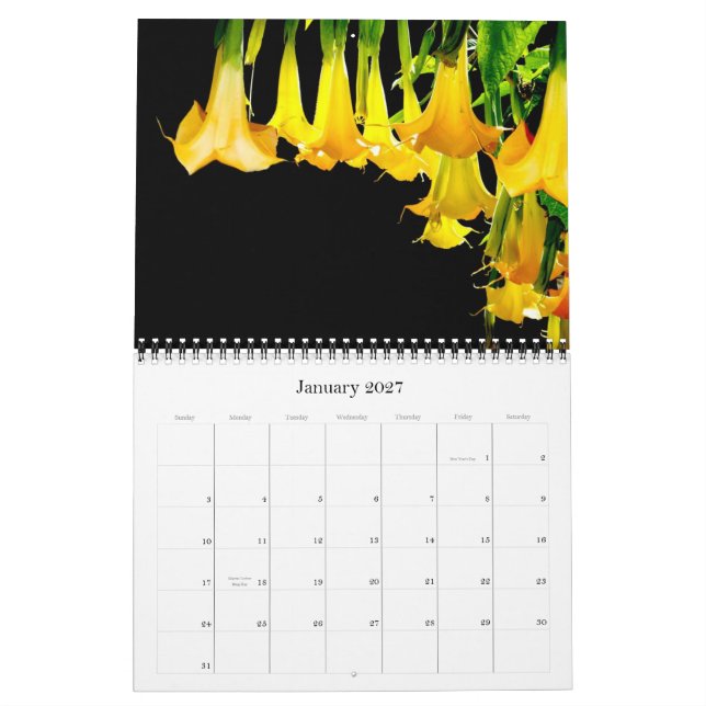 2012 Dave's Garden Calendar (Jan 2027)