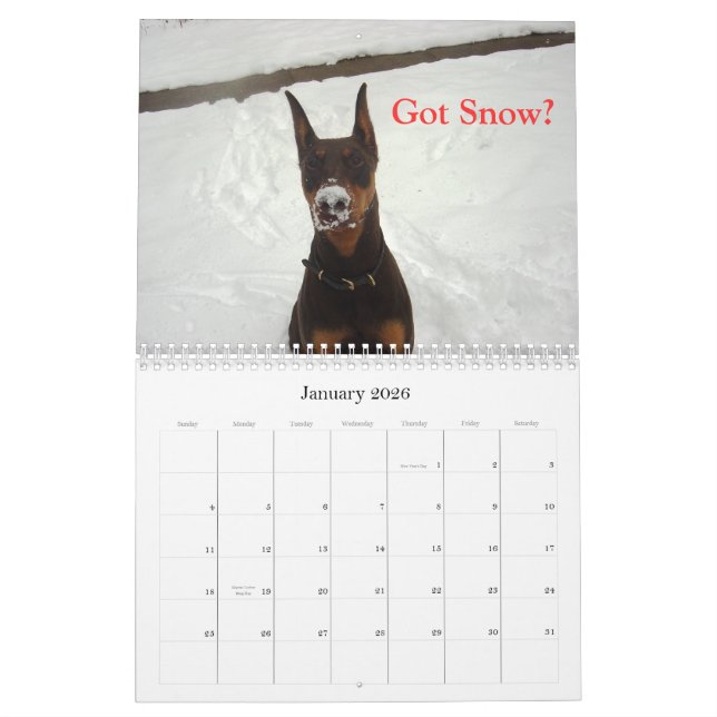 2012 Doberman Calendar (Jan 2026)
