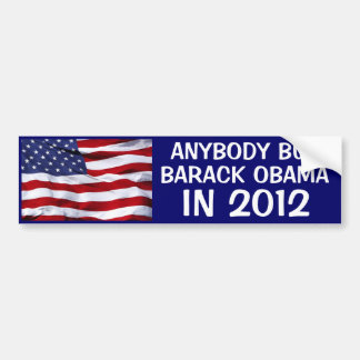 2012 ELECTION - ANYBODY BUT BARACK OBAMA IN 2012 BUMPER STICKER
