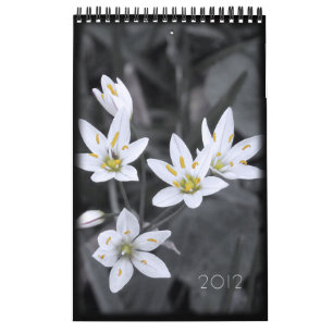 2012 Floral Calendar 12 single page months