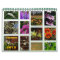 2012 Flower Calendar