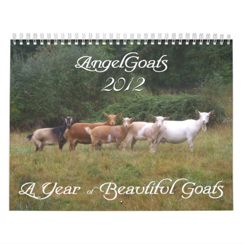 2012 Goat Calendar Beautiful Goats  AngelGoats