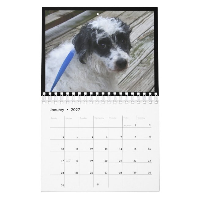 2012 hairless dogs calendar (Jan 2027)