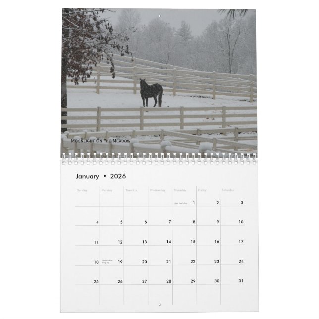 2012 Mountain Horses Calendar (Jan 2026)