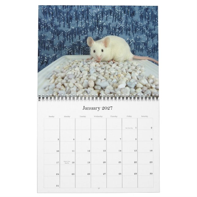 2012 Mouse Lover's Calendar (Jan 2027)