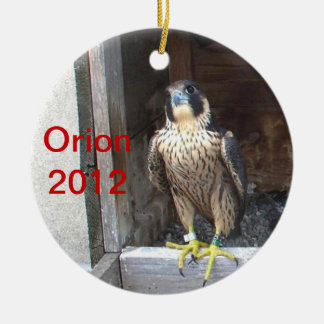 2012 Orion Ornament
