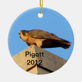 2012 Pigott Ornament