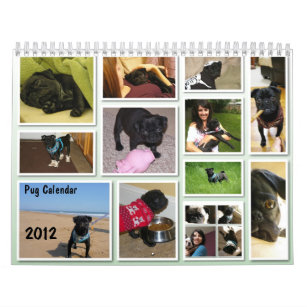 2012 Pug Calendar